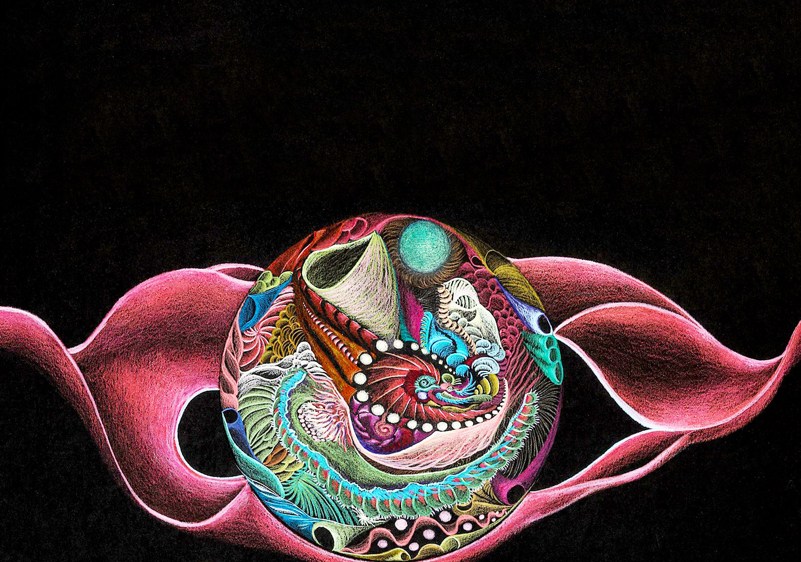 ORGANISCHER MIKROKOSMOS